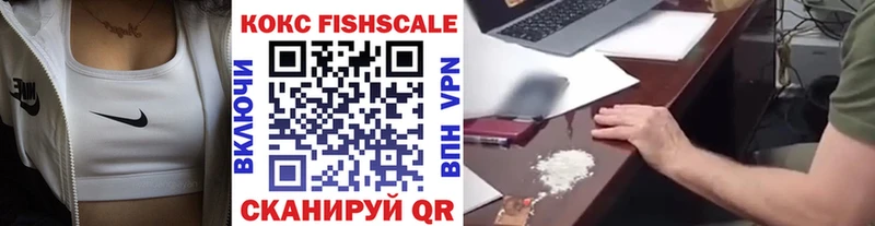 Кокаин Fish Scale  кракен ссылки  Шали  где купить наркоту 