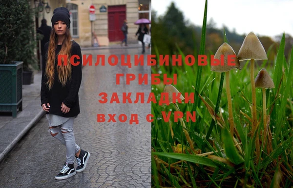 амфетамин Вяземский