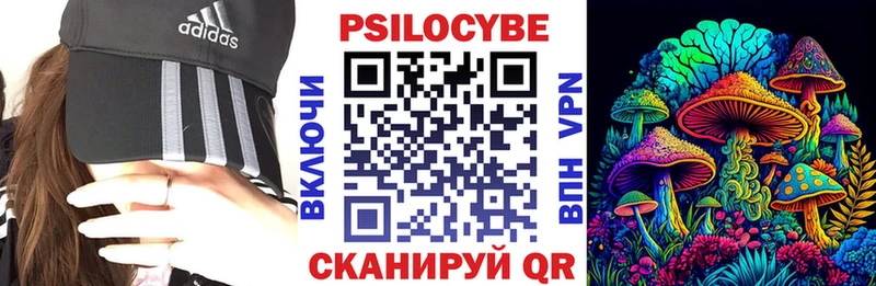даркнет сайт Шали Псилоцибиновые грибы GOLDEN TEACHER